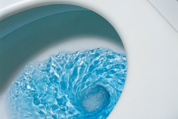 blue-toilet.jpg
